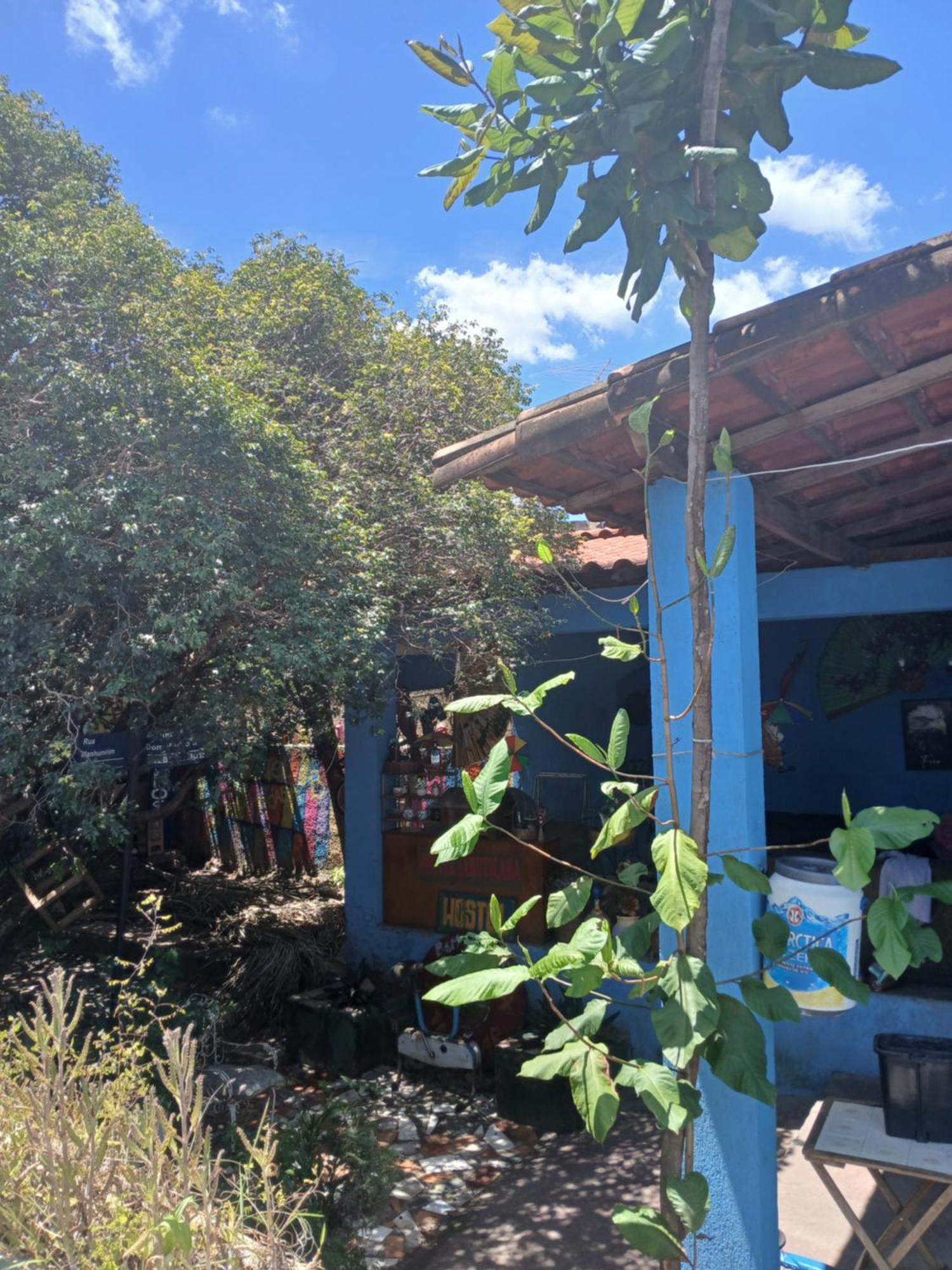 Hostel Jabuticaba Belo Horizonte Ngoại thất bức ảnh